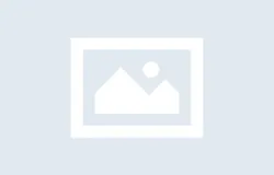 몰입캠프 상담 신청